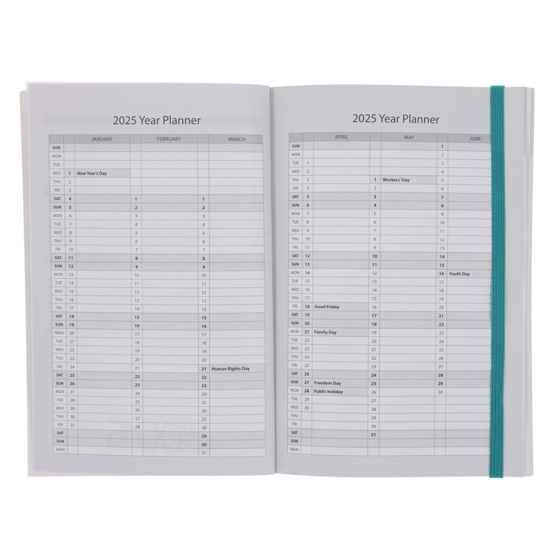 2025 A5 Diary - Daily Planner - Abstract David - Paperback