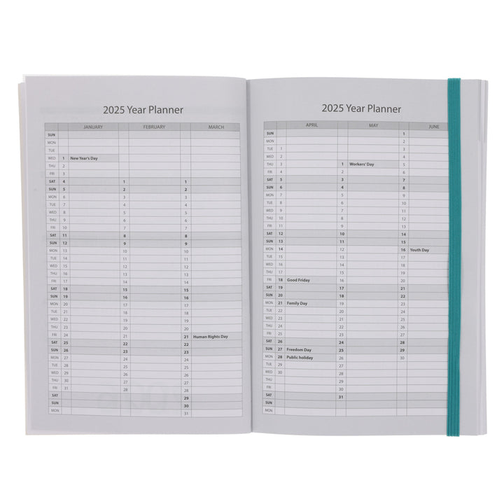 2025 A5 Diary - Daily Planner - Abstract David - Paperback