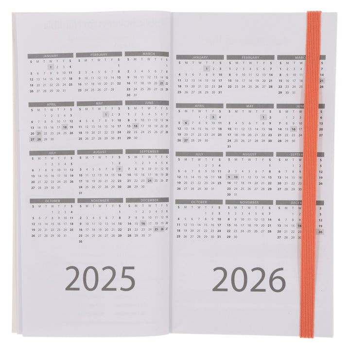 2025 Pocket Diary - Daily Planner - Surreal Salmon - Paperback