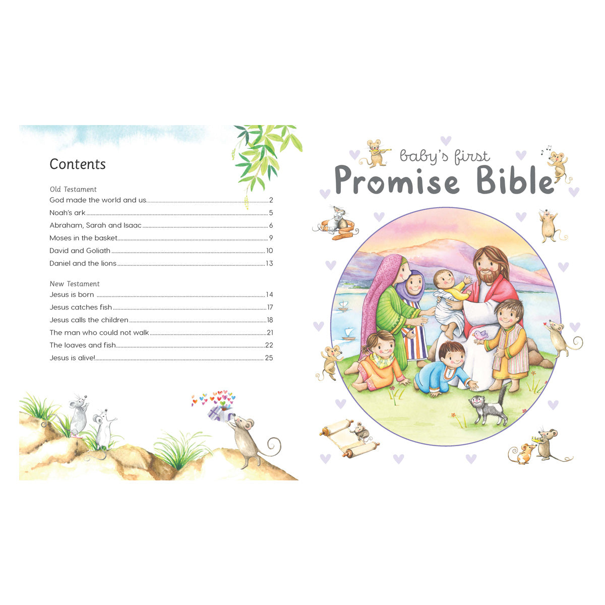 Baby's First Promise Bible (Board Book)