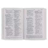 Amplified Grey Paperback Economy Edition Bible