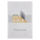 Amplified Grey Paperback Economy Edition Bible