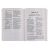 Amplified Black Paperback Economy Edition Bible