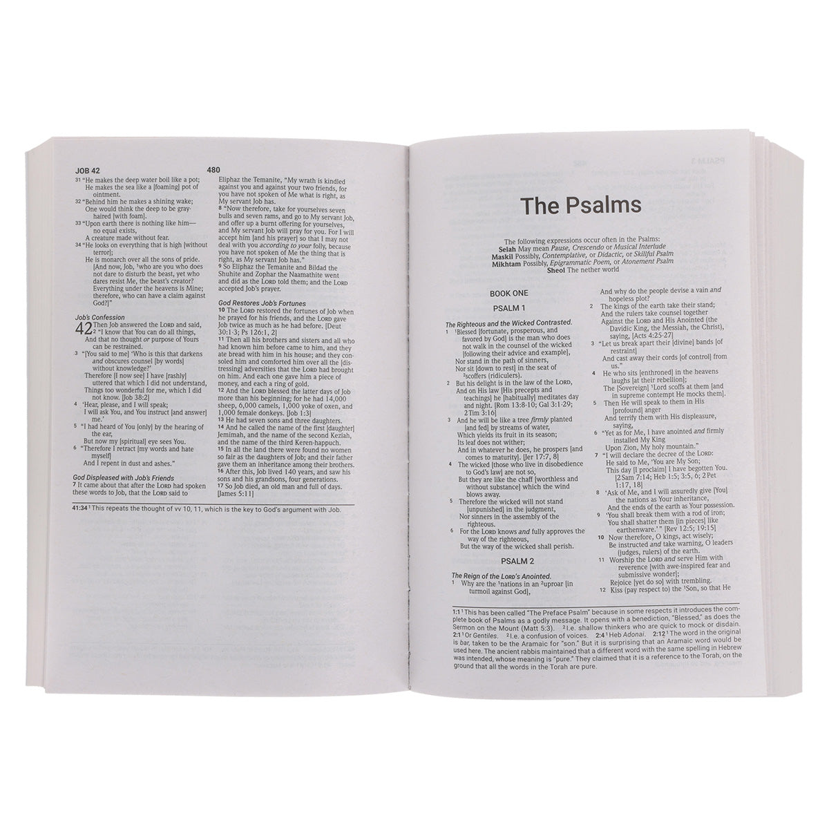 Amplified Black Paperback Economy Edition Bible