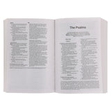 Amplified Black Paperback Economy Edition Bible