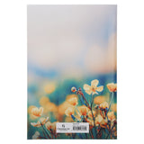 Amplified Wildflowers Paperback Economy Edition Bible