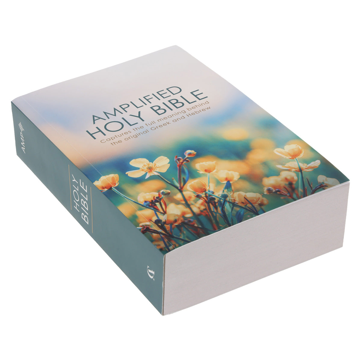 Amplified Wildflowers Paperback Economy Edition Bible – CUM Books