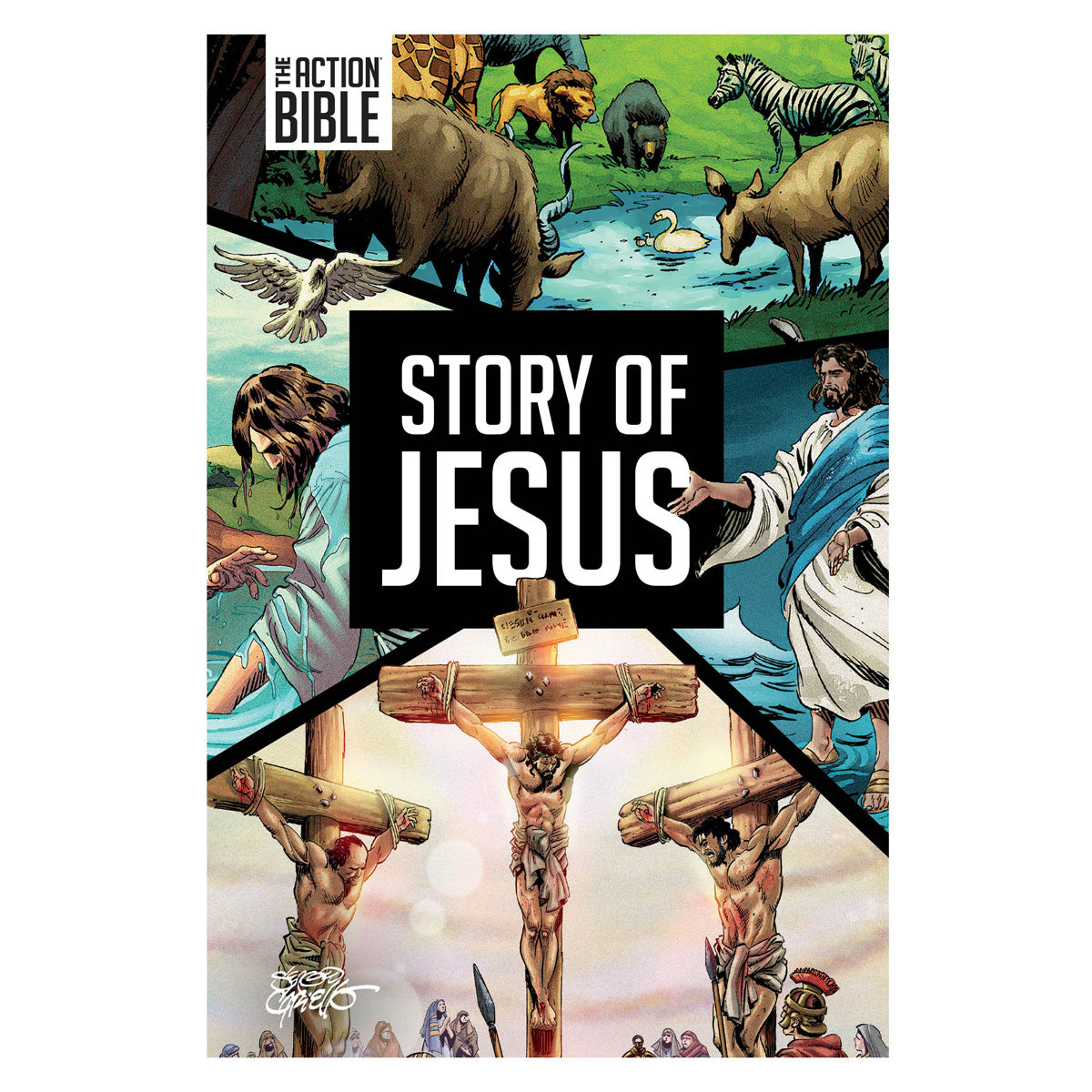 Story of Jesus (Paperback)