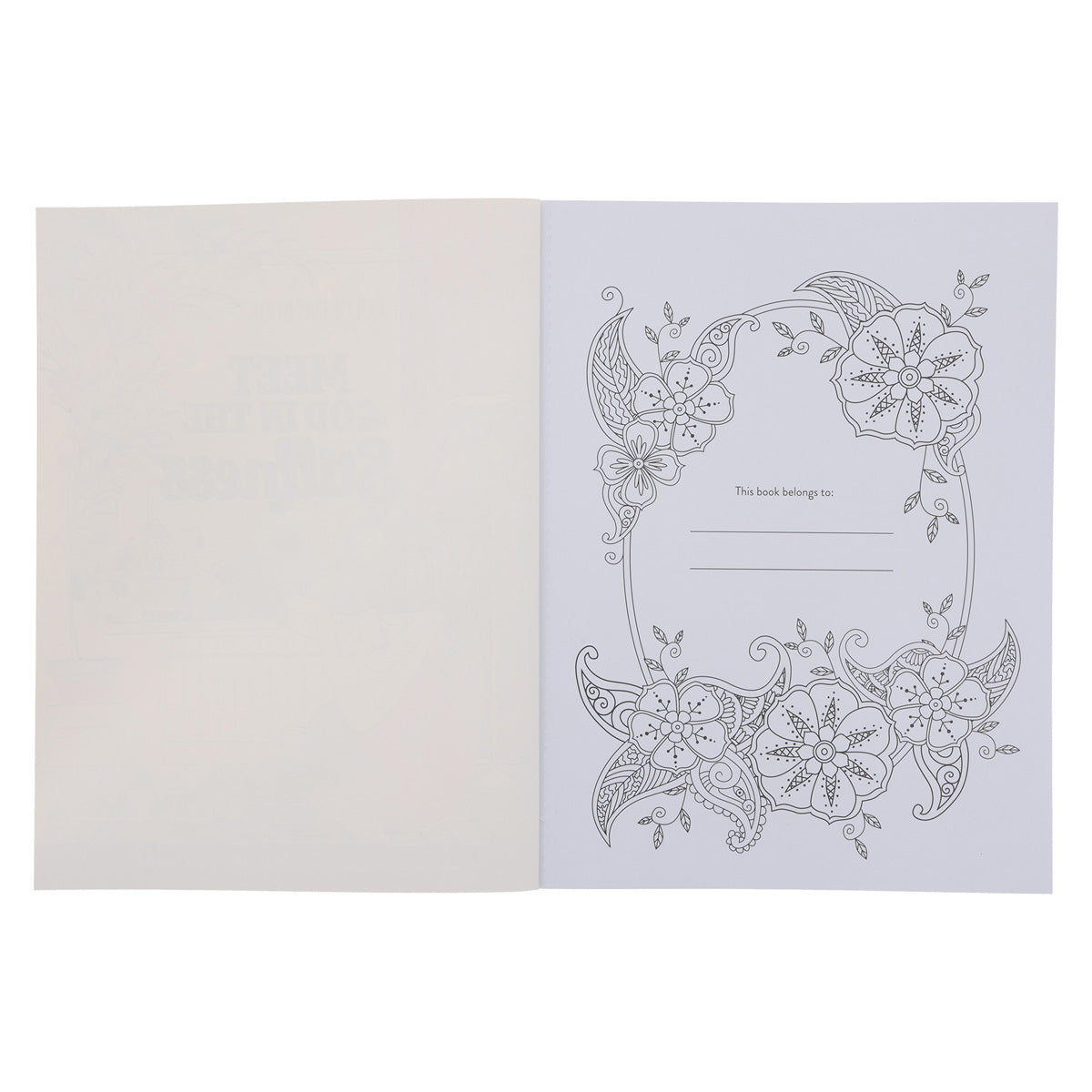 Meet God in the Stillness Coloring Book for Adults (Paperback)