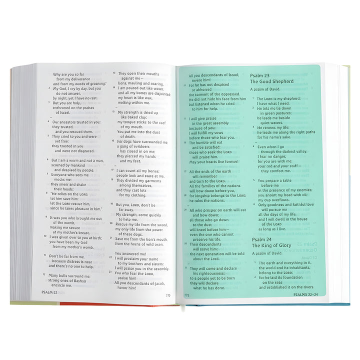 CSB Hardcover Grace Dyslexia Friendly Bible for Kids