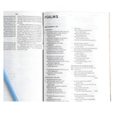 CSB Paperback Holy Bible for Kids Economy Edition Large Print