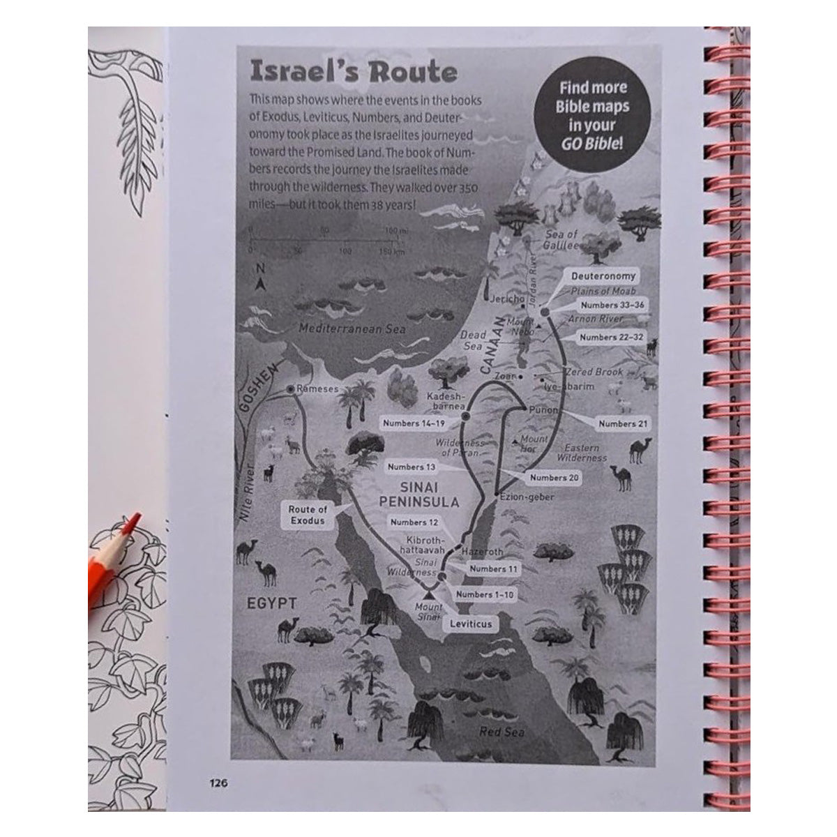 Sunday Scribbles: A 52-Week Creative Journal for Kids in Church - GO Bible (Spiral-Bound)