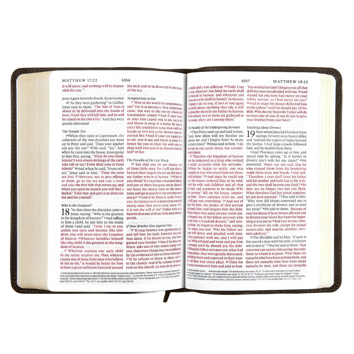 ESV Deep Brown Buffalo Leather Compact Bible Red Letter Large Print