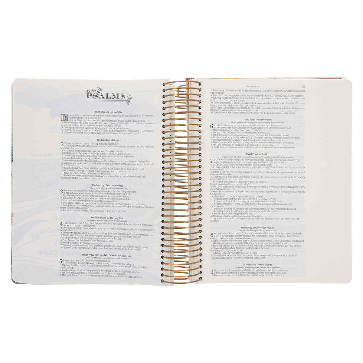 KJV Cream & Gold Leaves Spiral-Bound Faux Leather My Creative Bible Illustrators Edition