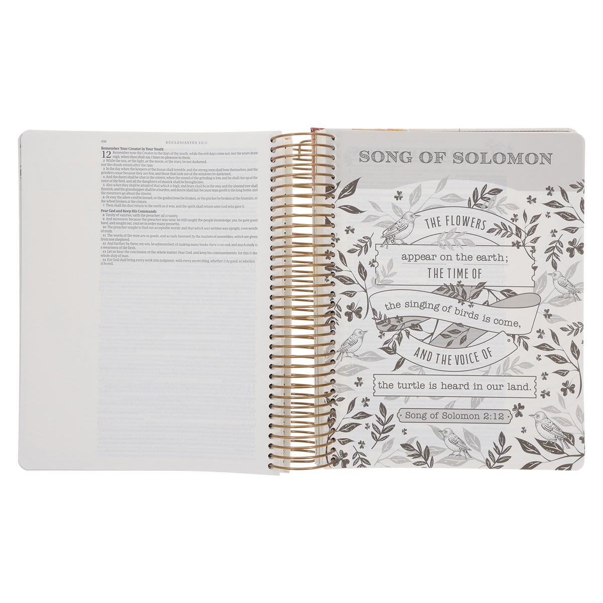 KJV Cream & Gold Leaves Spiral-Bound Faux Leather My Creative Bible Illustrators Edition