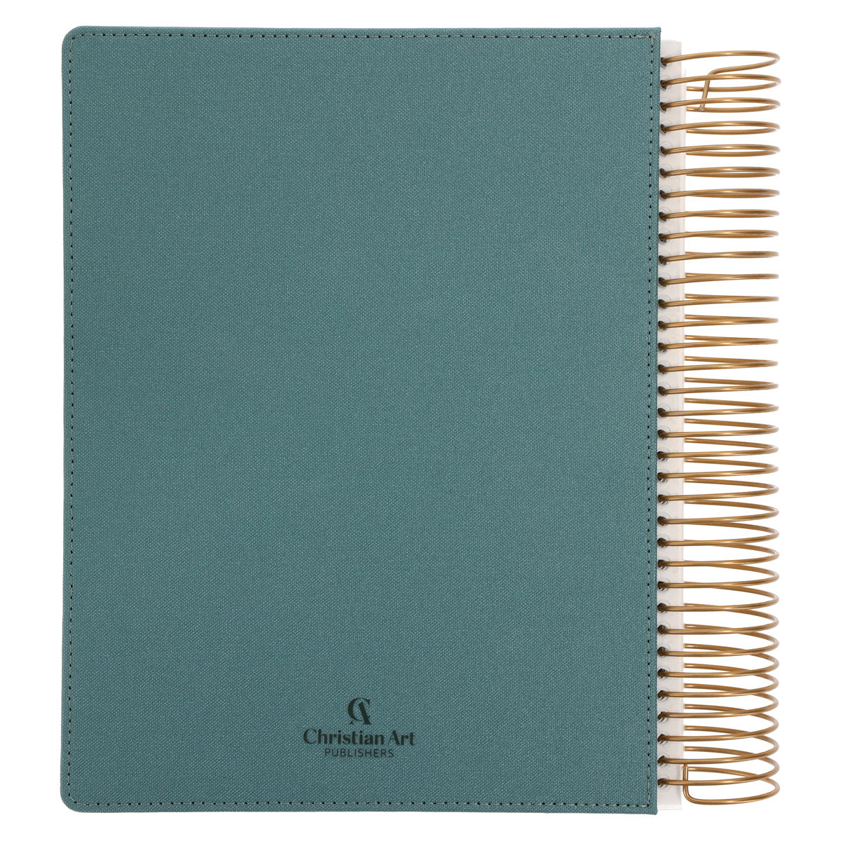 KJV Teal Spiral-Bound Hardcover Linen Cloth My Creative Bible Illustrators Edition