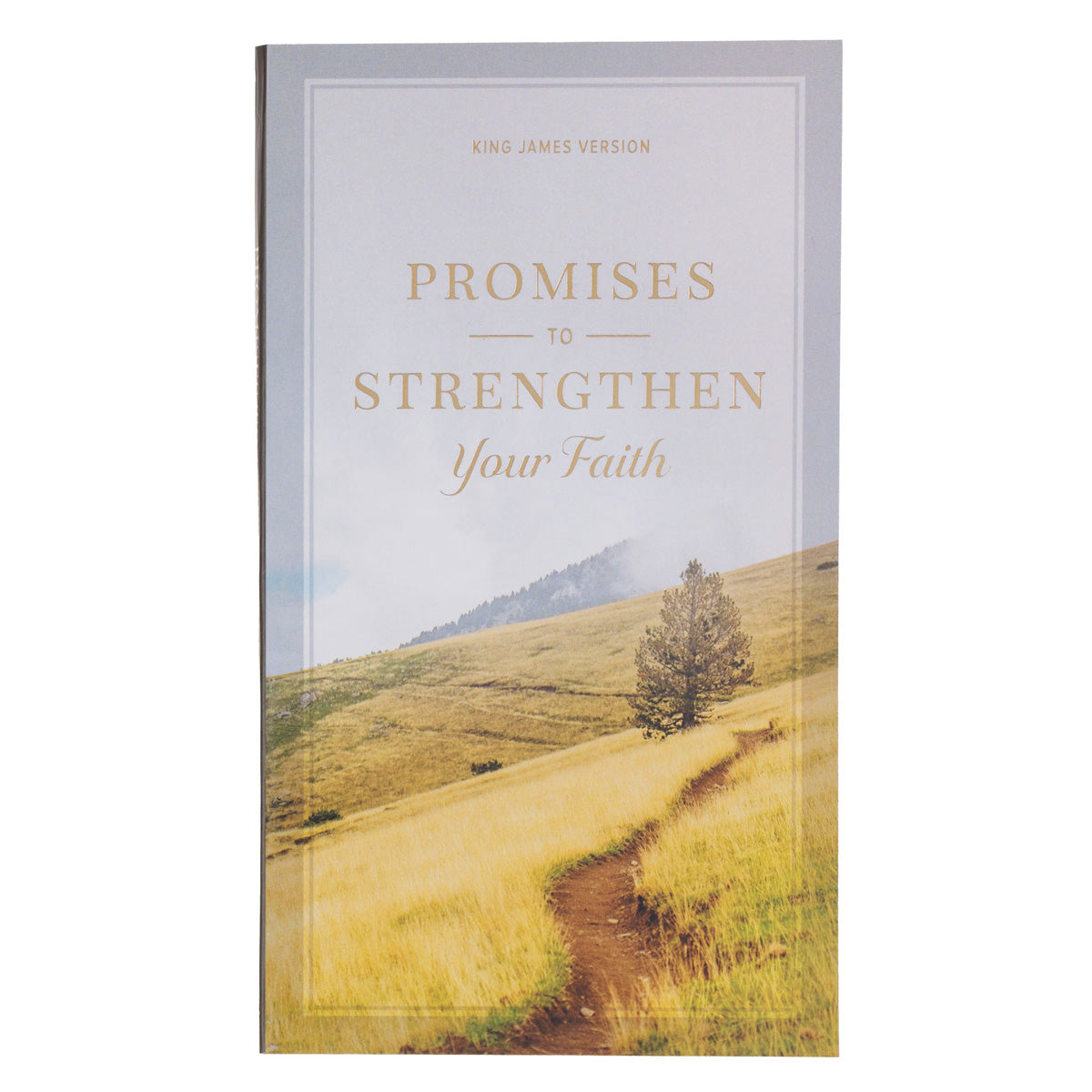 Promises to Strengthen Your Faith (Paperback)