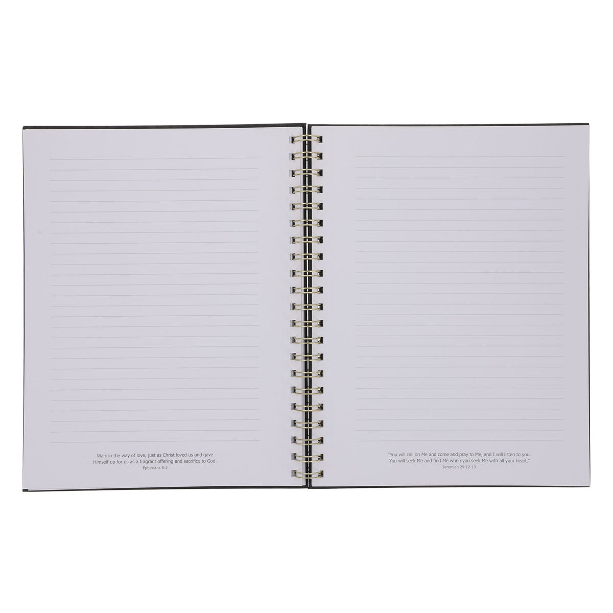 Eagles Wings Black Hardcover A4 Wirebound Journal
