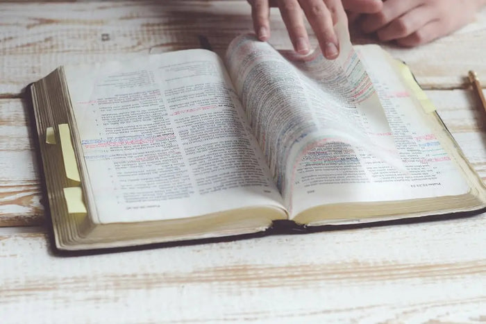 Find Zulu Bibles
