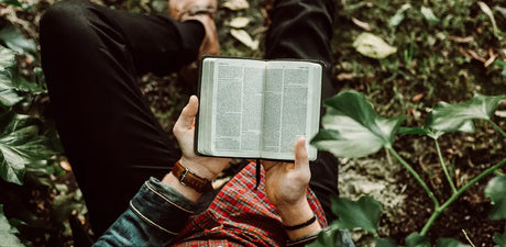Compact Bibles