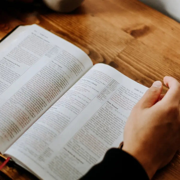 Bibles for sale