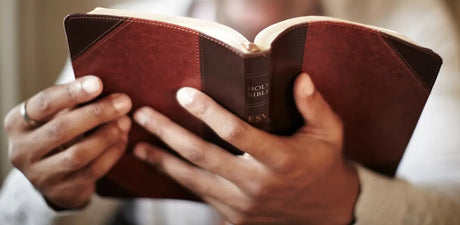 Reference Bibles