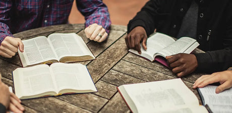 StudieBybels / Study Bibles