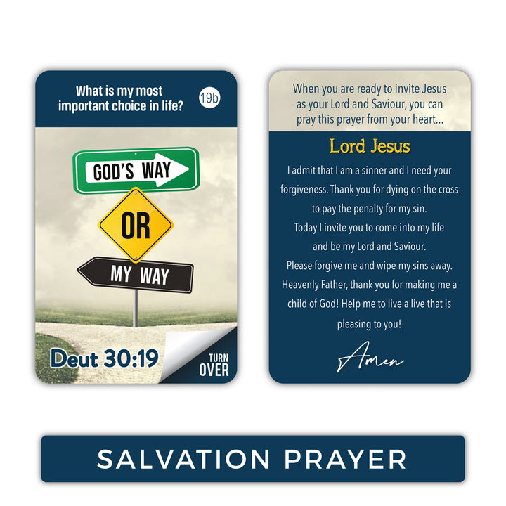 The Gospel In 33 Verses (Boxed Cards)